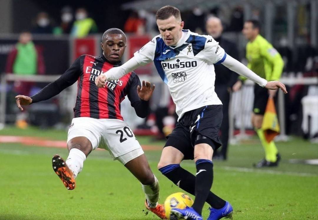 风云突变青鸡现